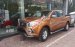 Cần bán Nissan Navara đời 2017, màu cam 