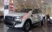 Cần bán Ford Ranger đời 2017, màu trắng