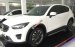 Mazda CX5 2.5 đủ màu, giá ưu đãi, hỗ trợ trả góp 85%, giao xe nhanh- Liên hệ: 0938.900.820