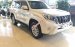 Toyota Land Cruiser Prado đen lịch lãm - Giá tốt nhất quý 1/2017 - Liên hệ đặt xe/ hotline: 0973.306.136