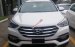 Hyundai Giải Phóng - Bán Hyundai Santa Fe  - Khuyến mãi cho khách hàng 70tr - Hotline: 0912139123