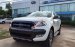 Bán các phiên bản Ford Ranger Wildtrak giá rẻ tại Tuyên Quang, hỗ trợ trả góp 80%