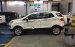 Bán Ford Ecosport giá rẻ tại Bắc Giang, hỗ trợ trả góp 80% giao xe ngay