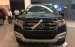 Bán xe Ford Everest mầu đen, sản xuất 2017, giá Shock