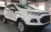Bán Ford Ecosport giá rẻ tại Bắc Giang, hỗ trợ trả góp 80% giao xe ngay
