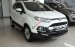 Phú Mỹ Ford bán Ford Ecosport 2017, tặng bộ phụ kiện Full Option trị giá 48tr