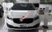 Kia Vĩnh Phúc, Phú Thọ chuyên Kia Sedona DATH đời 2017, trả góp lãi suất ưu đãi, LH: Ms Phương 0938907252