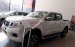 Bán ô tô Nissan Navara SL 2.5 MT 4WD đời 2017, màu trắng, nhập khẩu, giá 725tr