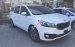 Kia Sedona máy dầu, thích hợp dịch vụ công ty, kinh doanh, hỗ trợ trả góp