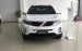 Cần bán xe Kia Sorento GAT năm 2017, màu trắng giá cạnh tranh