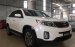 New Sorento 2018 giá khuyến mãi cực sốc, duy nhất tại Kia Bình Triệu, hỗ trợ 100% thủ tục ngân hàng. LH 091.4444.847