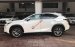 Bán Lexus NX đời 2016, màu trắng, nhập khẩu