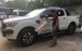 Bán các phiên bản Ford Ranger Wildtrak giá rẻ tại Hưng Yên, hỗ trợ trả góp 80%