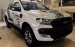 Bán ô tô Ford Ranger Wildtrak 3.2L 4x4 AT đời 2017, màu trắng, xe nhập, 880 triệu