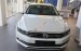 Bán xe Volkswagen Passat TSI Bluemotion đời 2017, màu trắng, nhập khẩu