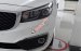 Kia Vĩnh Phúc, Phú Thọ chuyên Kia Sedona DATH đời 2017, trả góp lãi suất ưu đãi, LH: Ms Phương 0938907252