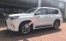 Cần bán xe Lexus GX 460 đời 2014, màu trắng, nhập khẩu nguyên chiếc chính hãng