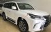 Bán Lexus LX570 xe mới 100%, giao ngay màu trắng, vàng. LH 0904754444