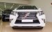 Bán Lexus GX 460 sản xuất 2015, màu trắng, nhập khẩu nguyên chiếc