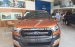 Cần bán Ford Ranger Wildtrak 3.2L 4x4 AT đời 2017, nhập khẩu Thái, 899 triệu