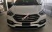 Bán ô tô Hyundai Santa Fe sản xuất 2017, giá siêu khuyến mãi