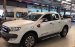 Cần bán Ford Ranger Wildtrak 3.2 đời 2017, màu trắng, nhập khẩu nguyên chiếc, giá 890tr