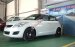 Bán xe Suzuki Swift RS đời 2017, màu trắng một chiếc duy nhất