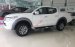 Bán Mitsubishi Triton tại Đà Nẵng, màu trắng, nhập khẩu Thái Lan, xe giao ngay, LH Quang 0905596067