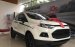 Ford Ecosport 2017 giá tốt - giao xe ngay 0934799119