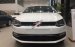 Bán Volkswagen Polo Hatchback 2017, màu trắng, xe nhập, Ms. Phượng: 097.8877.754 Giá tốt nhất