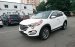 Hyundai Tucson 2017 2.0 AT CKD Euro4 Turbo bản đặc biệt, KM lớn giao liền