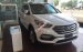 Bán Hyundai Santa Fe 2.2 màu trắng, có xe giao ngay, hỗ trợ trả góp 0961917516