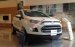 Giá xe Ford Ecosport Trend MT, giá rẻ nhất Lào Cai, hỗ trợ trả góp hơn 80% giá trị xe