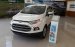 Ford Ecosport giao ngay Thái Nguyên, đủ màu, hỗ trợ trả góp 80% 6 năm, LH: 0963483132