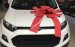 Ford Ecosport 2017 giá tốt - giao xe ngay 0934799119