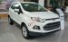 Ford Ecosport, màu trắng mới, khuyến mãi lớn. LH ngay Hotline: 0947 078 259