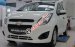 Bán xe Chevrolet Spark Duo, chở tải 300kg, trả góp- trả trước 70tr lấy xe, bảo hành 3 năm, Nhung 0907148849