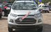 Ford Ecosport giao ngay Thái Nguyên, đủ màu, hỗ trợ trả góp 80% 6 năm, LH: 0963483132