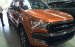Bán các phiên bản Ford Ranger Wildtrak giá rẻ tại Điện Biên, hỗ trợ trả góp 80%