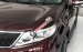 Cần bán Kia Sorento 2.4 GATH Full option 2017 mới, màu đỏ mận, giá chỉ từ 902 triệu kèm quà tặng và khuyến mãi khủng