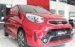 KIA Morning màu đỏ, đón xuân Mậu Tuất chỉ 379 triệu