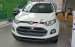 Ford Ecosport 2017 giá 565 triệu, liên hệ ngay 0947 078 259 để biết thông tin chi tiết