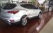 Bán Hyundai Santa Fe 2.2 màu trắng, có xe giao ngay, hỗ trợ trả góp 0961917516