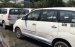 Bán Toyota Innova năm 2010, màu trắng, nhập khẩu