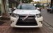 Bán Lexus GX460 Sx 2016, màu trắng, nhập khẩu Mỹ giá tốt - LH: 0948.256.912