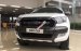 Bán xe Ford Ranger giá rẻ Wildtrak 2.2 AT 4x2, giao xe ngay, hỗ trợ trả góp 80%