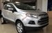 Cần bán Ford EcoSport 1.5L Trend mới tại Hòa Bình, màu bạc, giá thương lượng