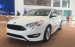 Cần bán xe Ford Focus 1.5L Ecoboot Trend đời 2017, LH: 0983356852