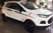 Mua xe Ford Ecosport Titanium SVP 2017 hỗ trợ vay 80%/6 năm. LH: 093 1234 768