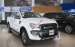 Ford Ranger Wildtrak 2.2 4*2AT có xe giao ngay, hỗ trợ trả góp, giao xe tận nhà- 0933.156.222